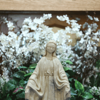 Why May is the Month of Mary in the Catholic Church
