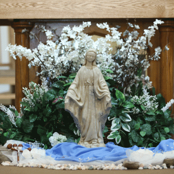 The Visitation of the Blessed Virgin Mary