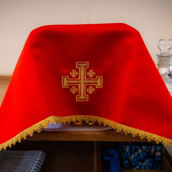 Mass Intentions – November 2025